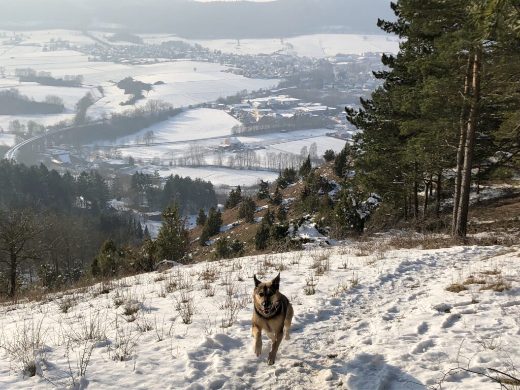 Hoher Dörnberg