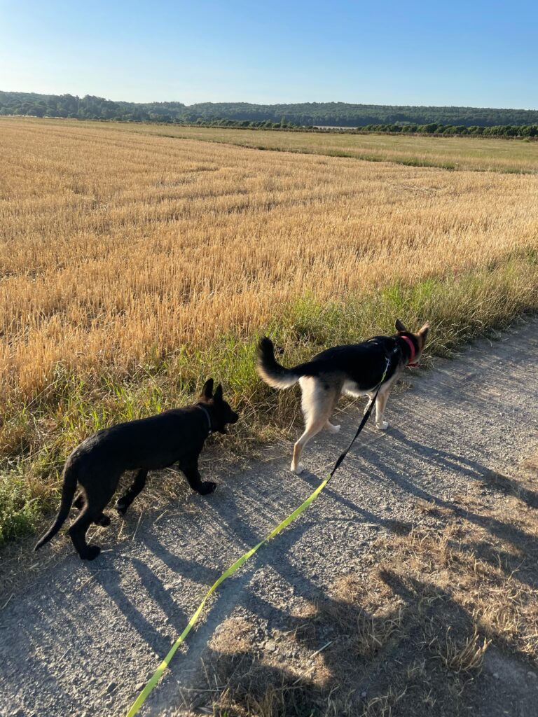 Nora und Jack
