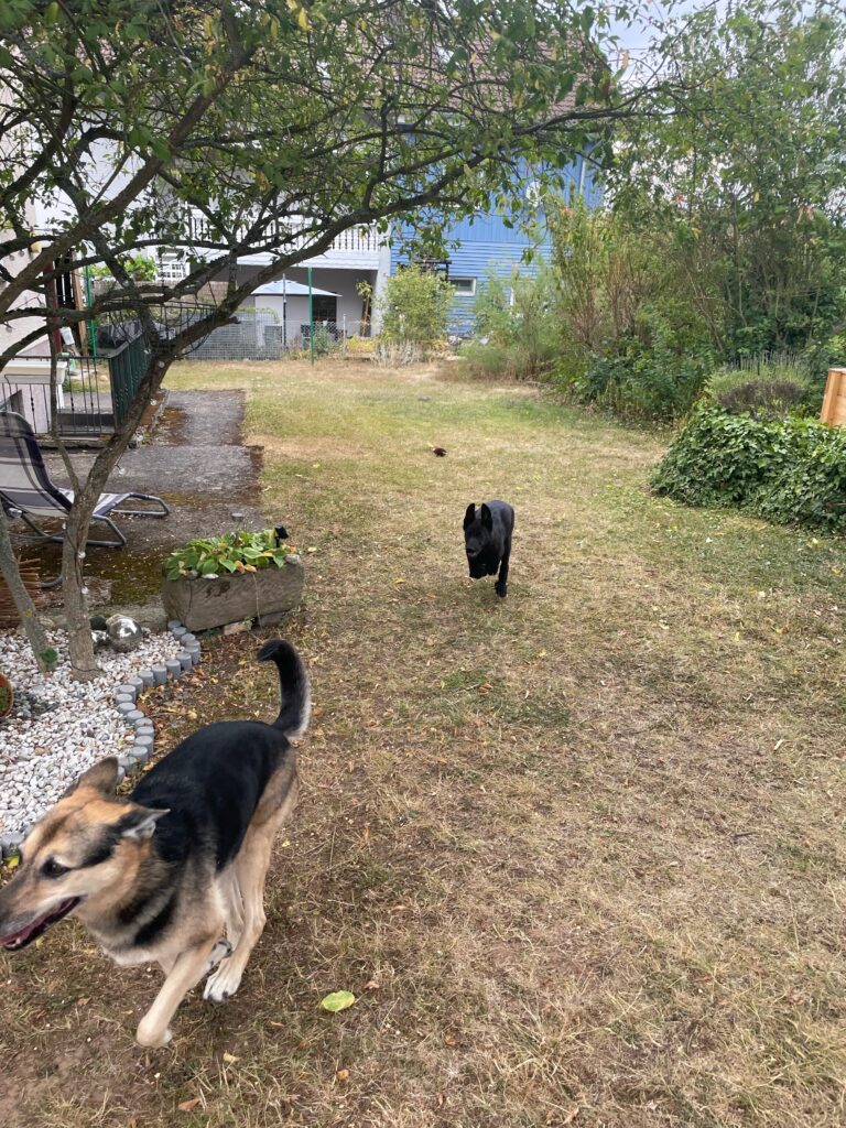 Nora und Jack