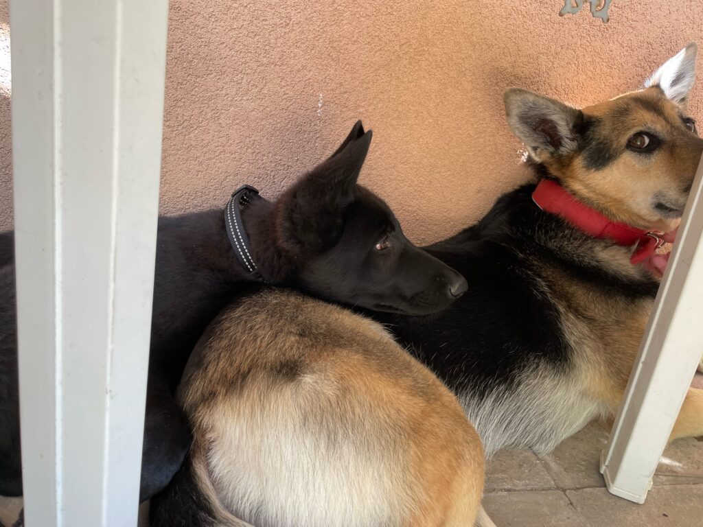 Nora und Jack